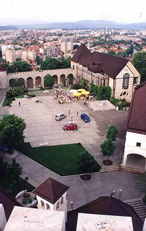 Fairy Installation 5